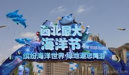 教學演示展示用品全解析 從采購到批發的完整指南